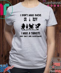 I don't have ducks or a row, I have turkeys are everywhere T-Shirt