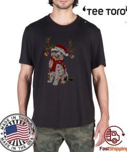 Aussie Gorgeous Reindeer Gift Tee Shirt