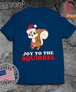 Joy to the Squirrel Christmas Funny T-Shirt