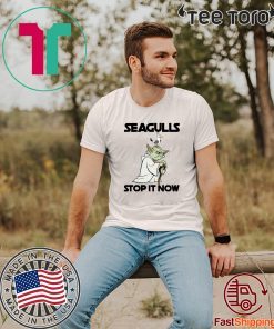 Seagulls Stop It Now Classic T-Shirt