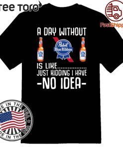 A Day Without Pabst Blue Ribbon Just Kidding I Have No Idea 2020 T-Shirt