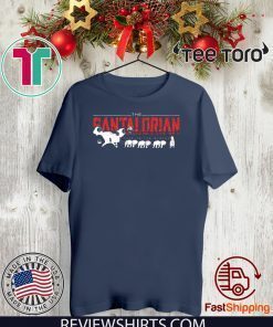 The Mandalorian Best The Mandalorian 2020 T-Shirt