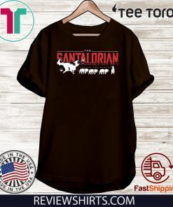 The Mandalorian Best The Mandalorian 2020 T-Shirt