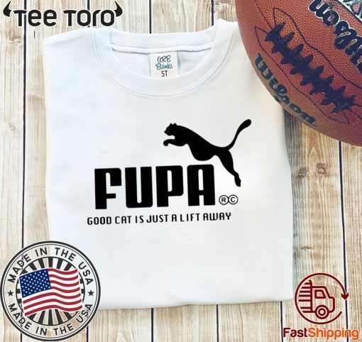 GOOD CAT IS JUST A LIFT AWAY T SHIRT FUPA