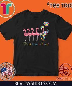 Flamingo Baseball Autism It’s Ok To Be Different 2020 T-Shirt