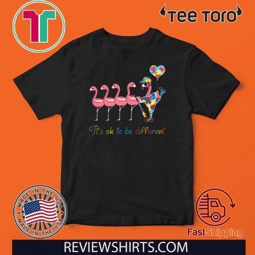 Flamingo Baseball Autism It’s Ok To Be Different 2020 T-Shirt