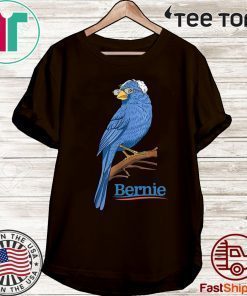 Senator Presidential Elect 2020 Bernie Sanders US T-Shirt