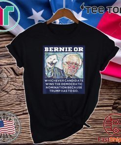 Bernie Sanders Or Anyone But Donald Trump Vote Blue Dump Trump 2020 T-Shirt