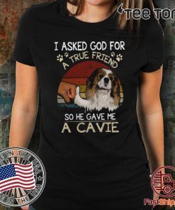 Vintage I Asked God For A True Friend So He Gave Me A Cavie Dog Shirt