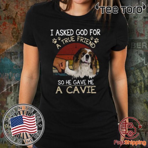 Vintage I Asked God For A True Friend So He Gave Me A Cavie Dog Shirt