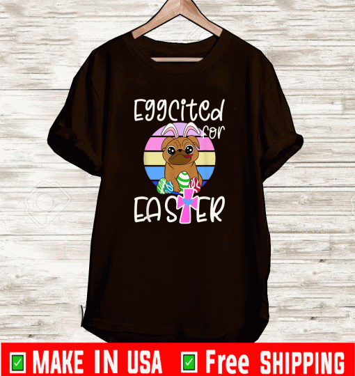 EGGCITED FOR EASTER Pug Puppy Dog Egg Hunt Vintage T-SHIRT