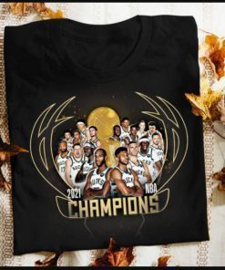 Champion Milwaukee Bucks Win 2021 NBA Finals shirt, 2021 Bucks shirt, Bucks NBA shirt, Bucks Champion, Championship shirt