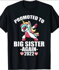 Promoted To Big Sister Again 2022 Shirt, Big Sister Again T-Shirt