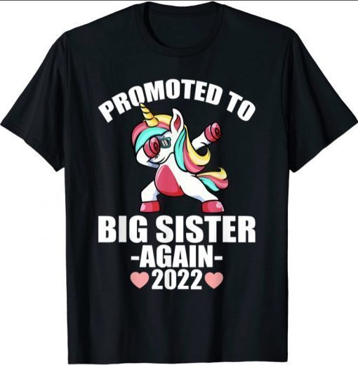 Promoted To Big Sister Again 2022 Shirt, Big Sister Again T-Shirt