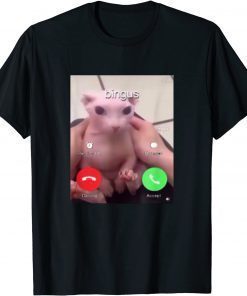 Bingus Is Calling My Beloved Hairless Sphinx Cat T-Shirt