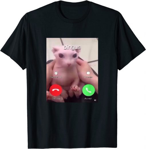 Bingus Is Calling My Beloved Hairless Sphinx Cat T-Shirt