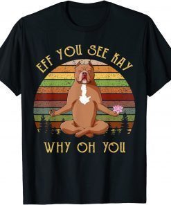 Official Retro Pitbull Dog Yoga Eff You See Kay Why Oh You T-Shirt