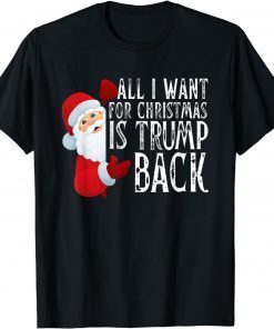 Funny All I Want Christmas Is Trump Back And New President T-Shirt