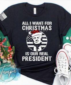 Funny All I Want For Christmas Is A New President Tee Shirts