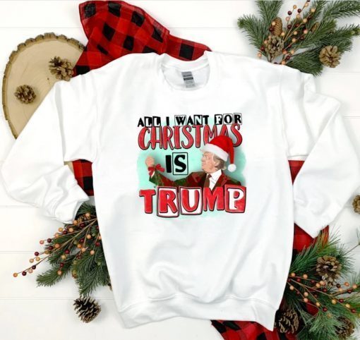 Official All I Want For Christmas Is Trump Xmas Gift Tee Shirt