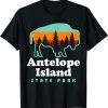 Antelope Island State Park Bison Great Salt Lake Utah T-Shirt