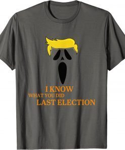 I Know What You Did Last Election Halloween Day Funny T-Shirt