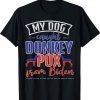Trump 2024 My Dog Caught Donkey Pox From Biden Doberman Shirts