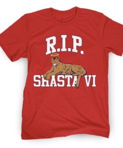 RIP SVI CHARITY VINTAGE TSHIRT