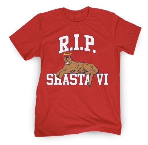 RIP SVI CHARITY VINTAGE TSHIRT