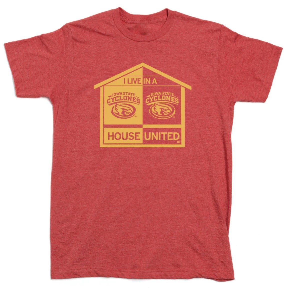 I Live in a Iowa State House United Vintage TShirt