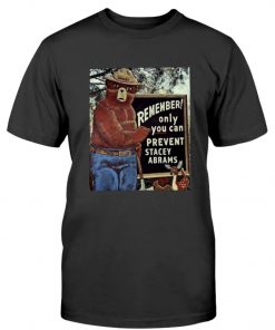 Only You Can Prevent Stacey Abrams 2022 TShirt