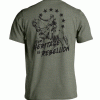 Your Heritage Is Rebellion Vintage TShirt