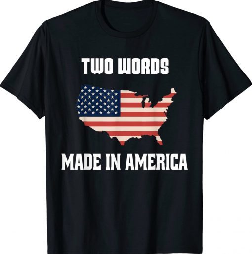 Vintage Two Words Made In America Biden Anti Joe US Flag TShirt