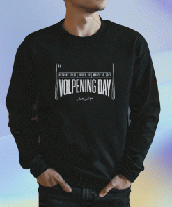 Vintage Anthony Volpe Volpening Day The Bronx Shirts