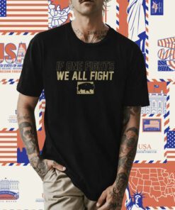If One Fights We All Fight T-Shirt