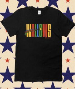 Wallows Shooting Star 2017 Shirt