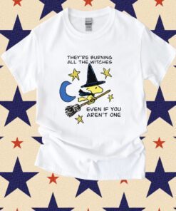 They're Burning All The Witches Even If You Aren't One Shirt