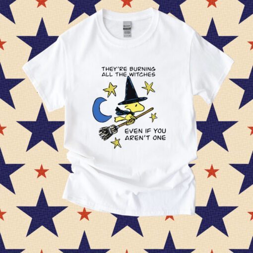 They're Burning All The Witches Even If You Aren't One Shirt