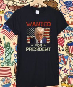 Wanted Donald Trump For President 2024 USA Flag Shirt