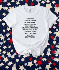 I Survived Another Wave Of Irrational Sadness After Watching A Sturniolo Triplets T-Shirt