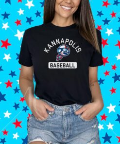 Indigo Plane Kannapolis Baseball T-shirt