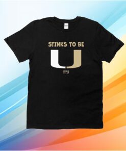 Stinks To Be U Baby Apparel For Fl State Football Fans T-Shirt