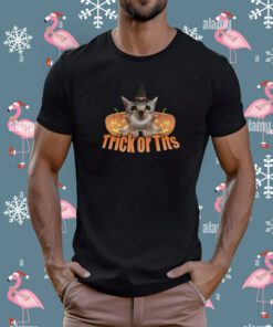 Trick Or Tits Halloween T-Shirt