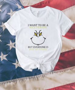 Christmas I Want To Be A Nice Person Unisex Shirts