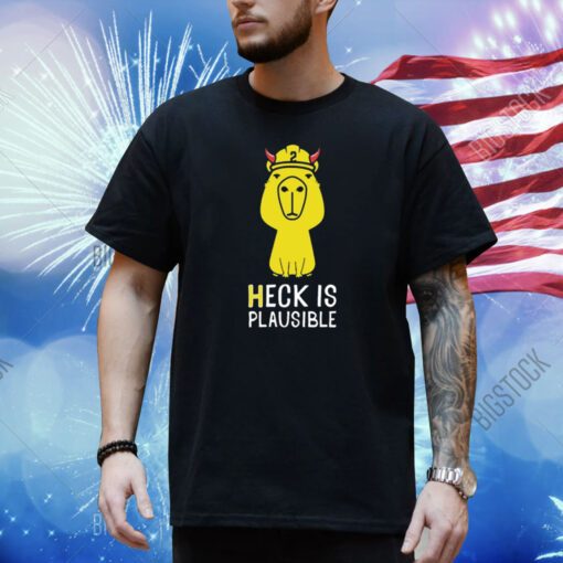 Heck Is Plausible 2023 Shirt