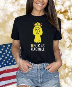 Heck Is Plausible 2023 Shirts