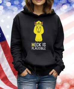 Heck Is Plausible 2023 TShirts