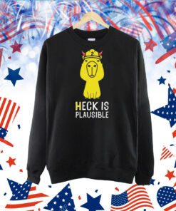 Heck Is Plausible 2023 TShirt