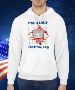 Jmcgg I'm Just Jesting Bro TShirt