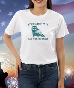 Raccoon It Is What It Is And It Is Not Great Shirts